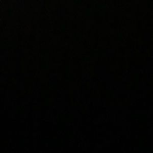 Meet your Posher, Gianna